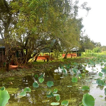 Meegahapokuna Resort Anuradhapura Exterior photo