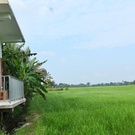 Meegahapokuna Resort Anuradhapura Exterior photo