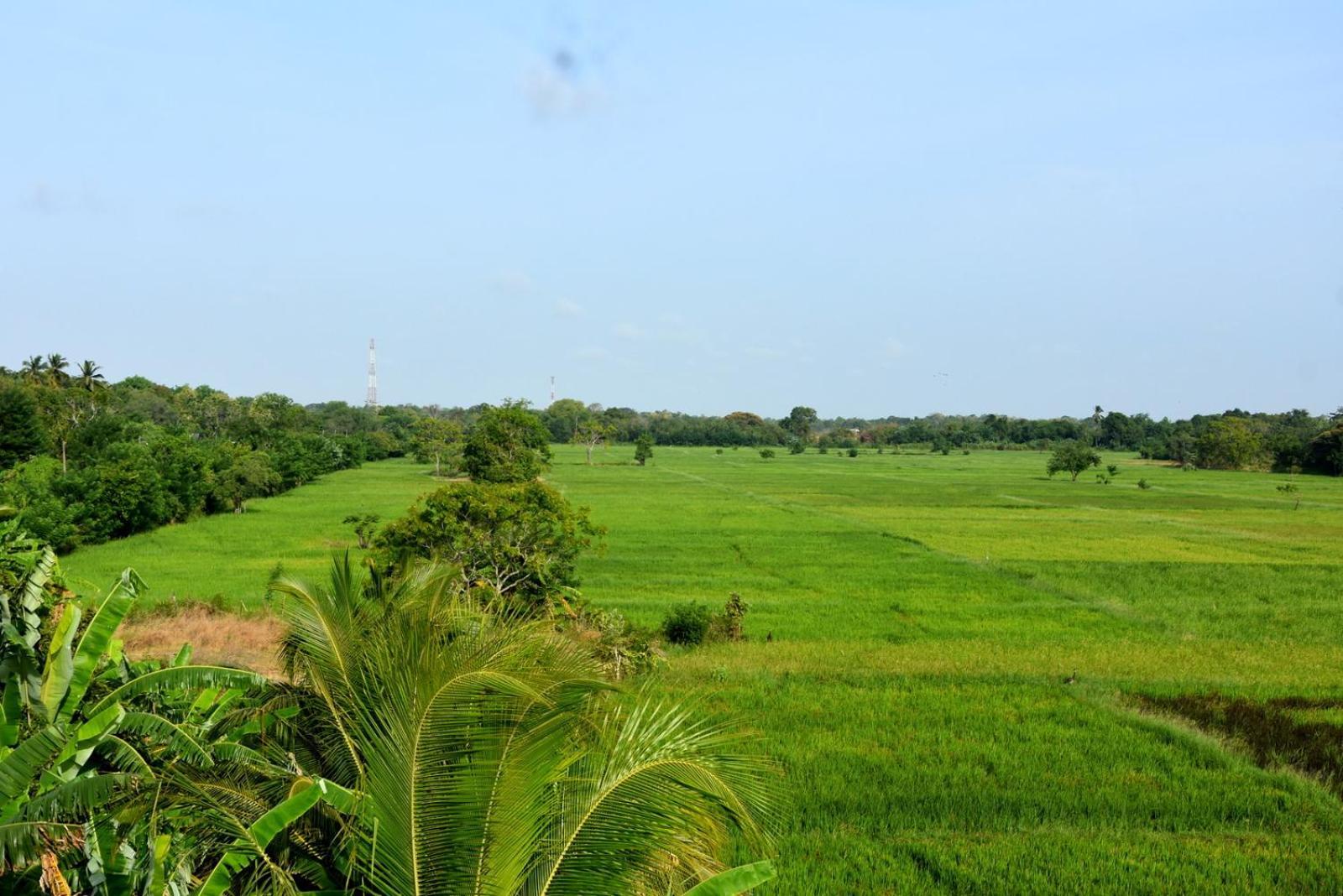 Meegahapokuna Resort Anuradhapura Exterior photo