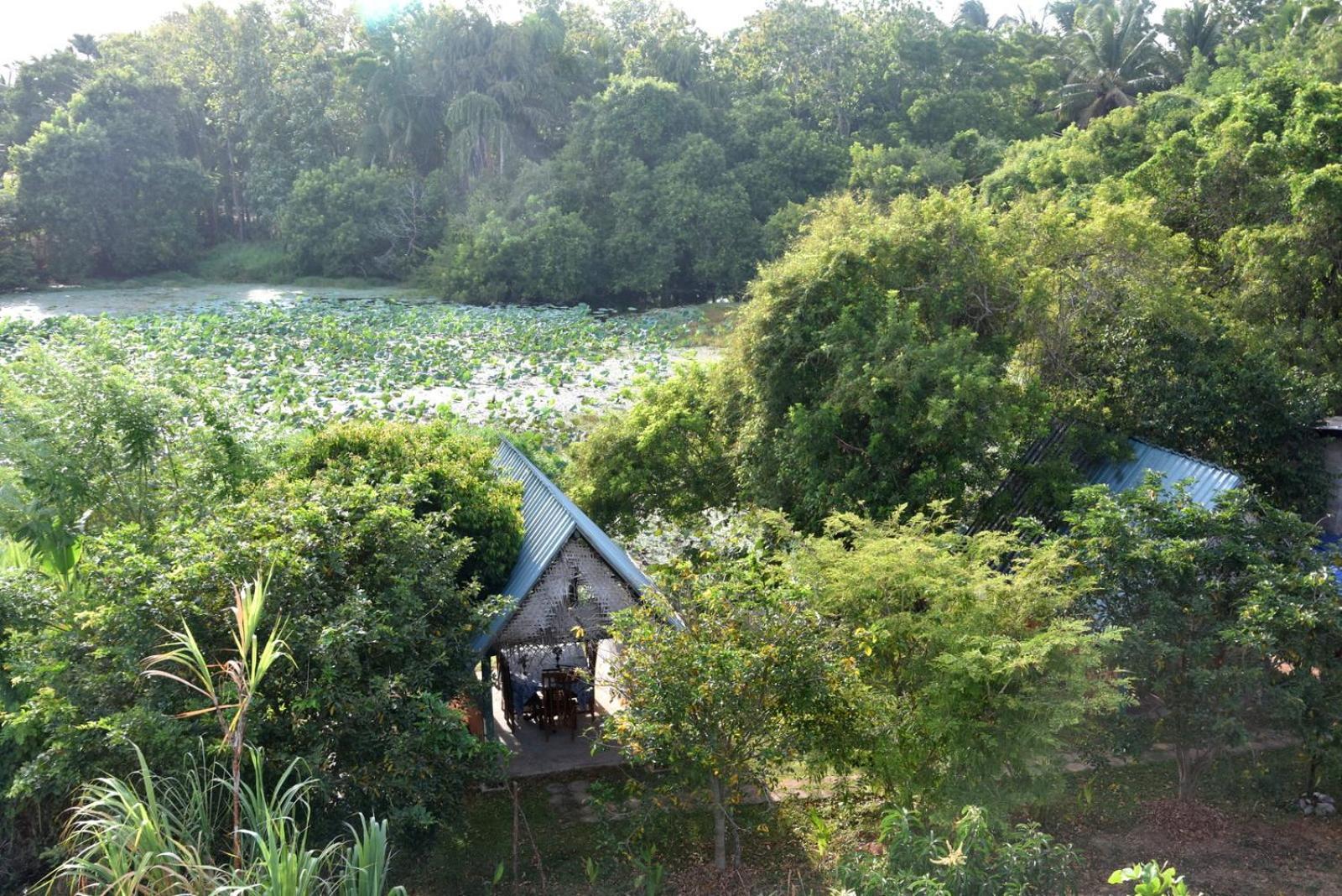 Meegahapokuna Resort Anuradhapura Exterior photo