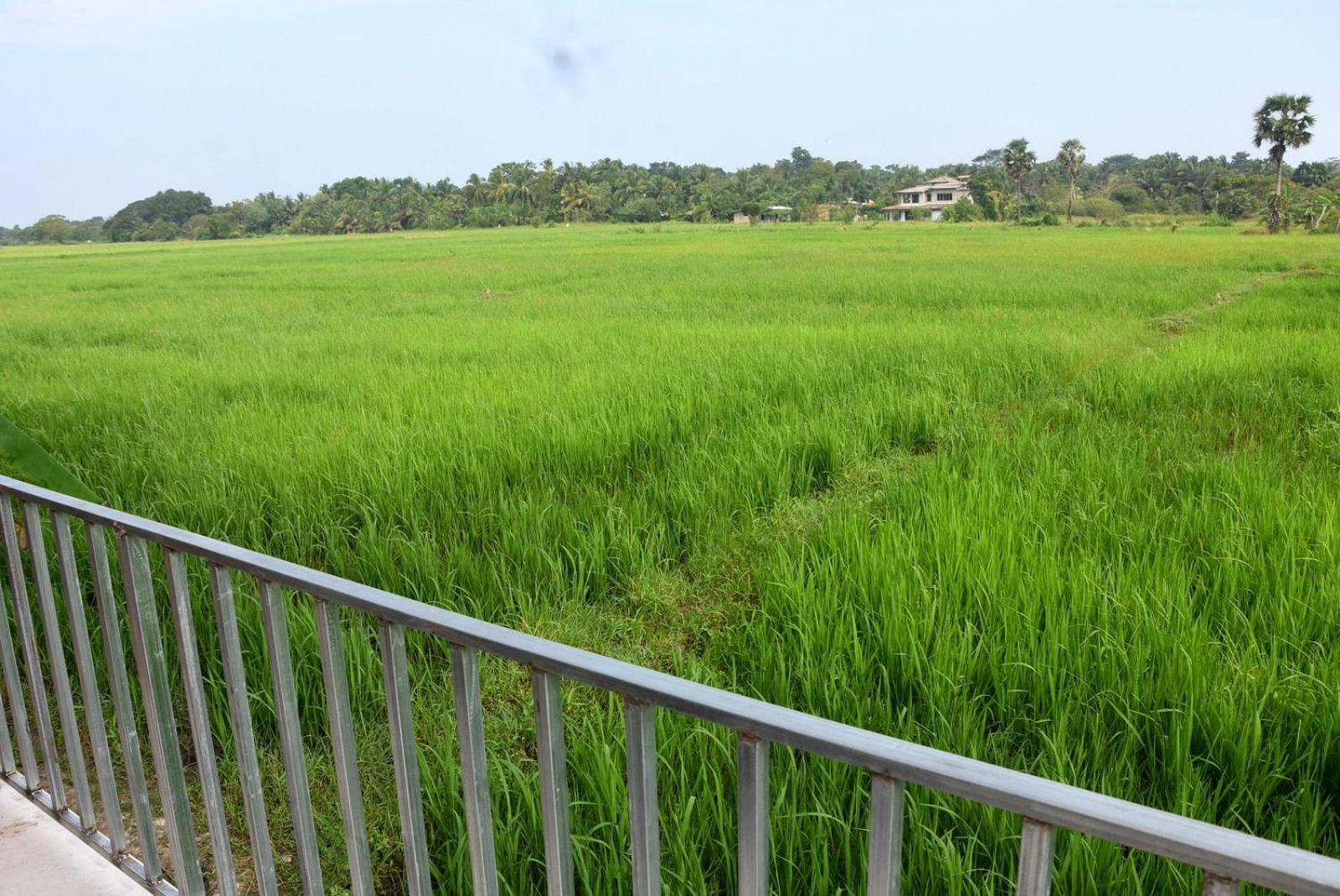 Meegahapokuna Resort Anuradhapura Exterior photo