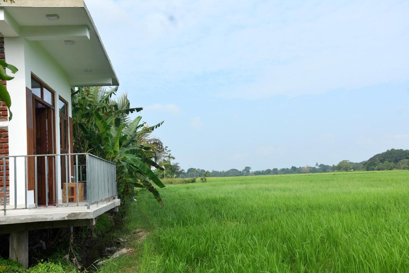 Meegahapokuna Resort Anuradhapura Exterior photo